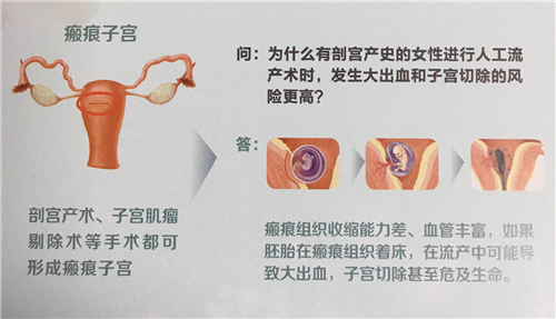 图片2_副本.png